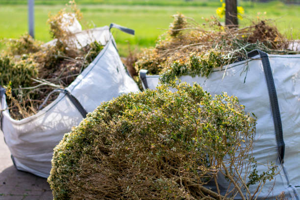 Best Trash Removal Near Me  in Grayson, GA